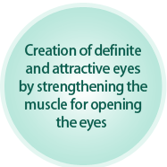 Creation of definite and attractive eyes by strengthening the muscle for opening the eyes 